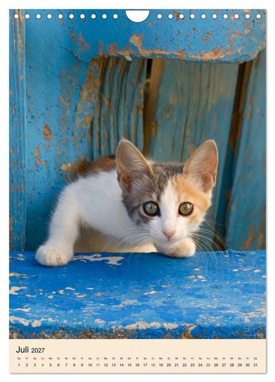 Produktbild: Katzen von Rhodos (Wandkalender 2027 DIN A4 hoch), CALVENDO Monatskalender