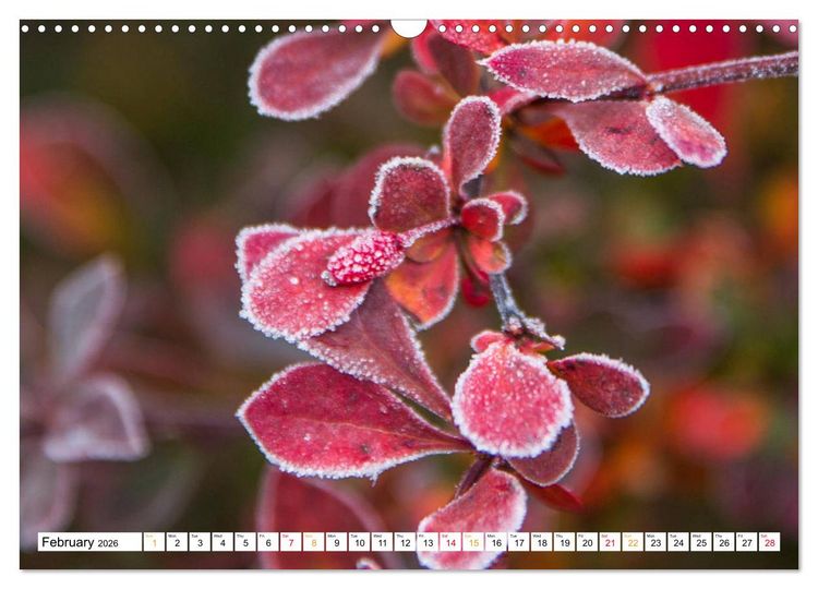Produktbild: Four seasons in Estonia (Wall Calendar 2026 DIN A3 landscape), CALVENDO 12 Month Wall Calendar