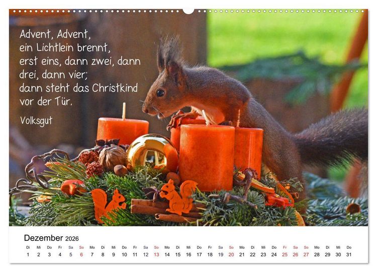 Produktbild: Der literarische Eichh&ouml;rnchen-Kalender (Wandkalender 2026 DIN A2 quer), CALVENDO Monatskalender