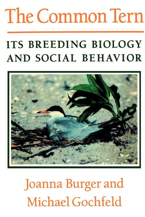 Produktbild: The Common Tern