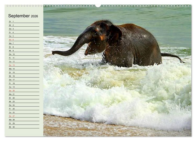 Produktbild: Elefanten. Badespa&szlig; am Strand (Wandkalender 2026 DIN A2 quer), CALVENDO Monatskalender
