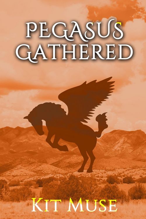 Produktbild: Pegasus Gathered: Founding the Pegasus Academy (The Pegasus Enchantment, #3)