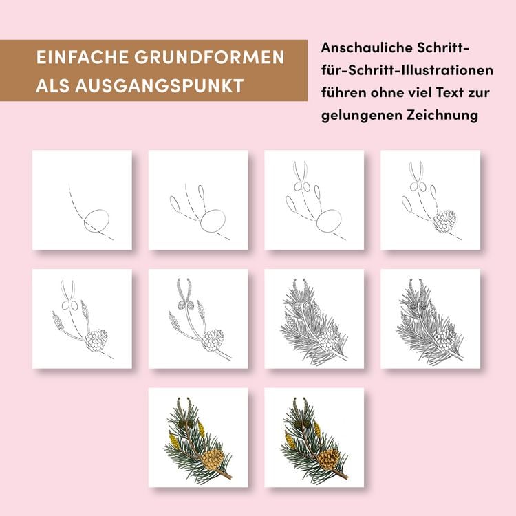 Produktbild: Die Kunst des Zeichnens 10 Steps - Pflanzen