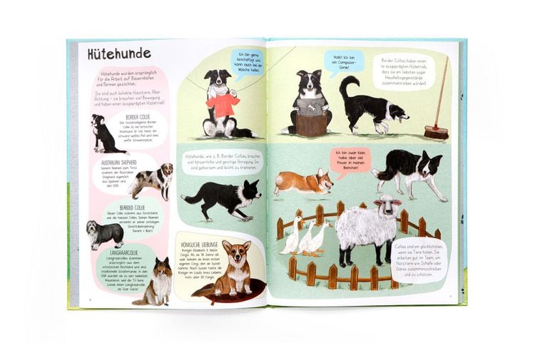 Produktbild: Das Hunde-Buch