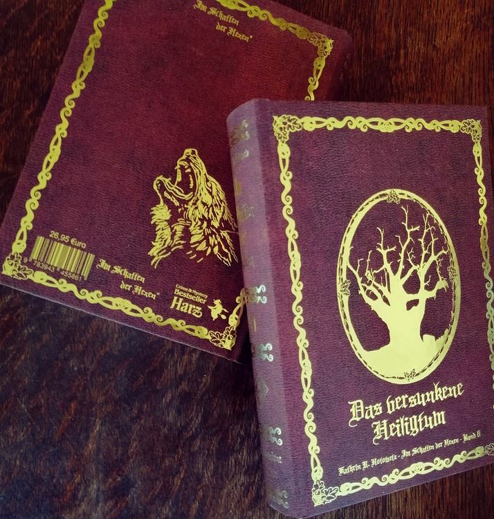 Produktbild: Im Schatten der Hexen VI