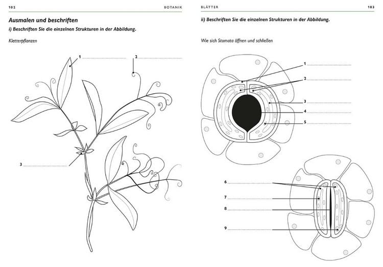 Produktbild: Botanik
