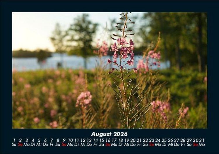 Produktbild: Blumentraum 2026 Fotokalender DIN A5