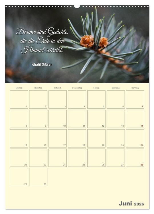 Produktbild: Gartenliebe (Wandkalender 2026 DIN A2 hoch), CALVENDO Monatskalender