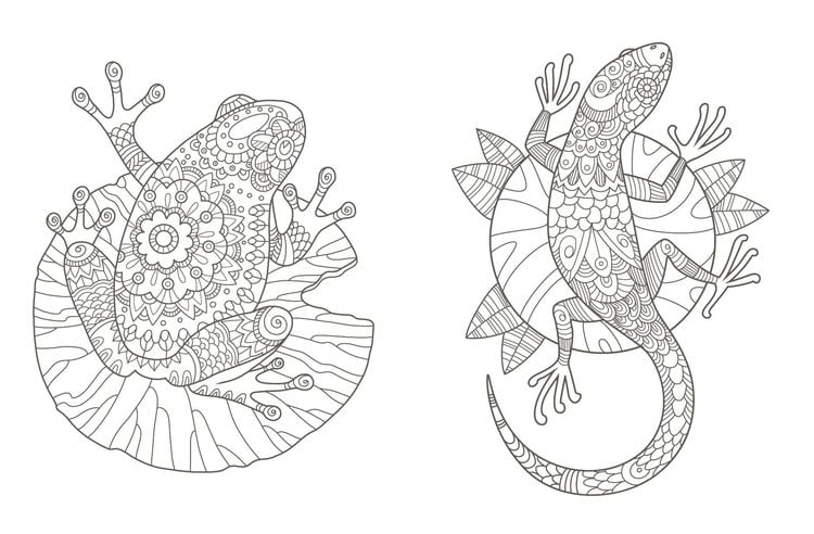 Produktbild: Colorful Mandala &ndash; Mandala &ndash; Spaziergang durch die Natur