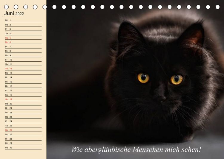 Produktbild: Unsere Katzen. Wie sie wirklich sind! (Tischkalender 2022 DIN A5 quer)
