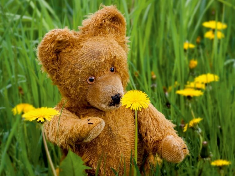 Produktbild: CALVENDO Puzzle Die ersten Blumen | 1000 Teile Lege-Gr&ouml;&szlig;e 64x48cm Foto-Puzzle f&uuml;r gl&uuml;ckliche Stunden