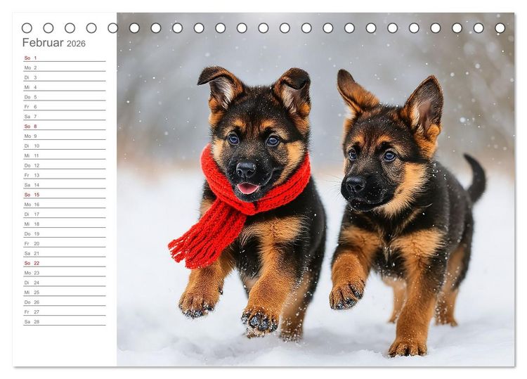Produktbild: Sch&auml;ferhundliebe - Deine t&auml;gliche Dosis Welpenfreude &ndash; ganz ohne Gassi. (Tischkalender 2026 DIN A5 quer), CALVENDO Monatskalender