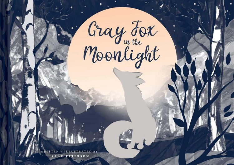 Produktbild: Gray Fox in the Moonlight