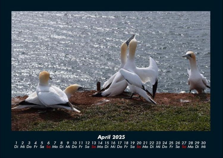 Produktbild: Seeblick 2025 Fotokalender DIN A4
