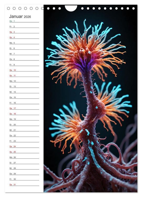 Produktbild: Leuchtende Mikroflora (Wandkalender 2026 DIN A4 hoch), CALVENDO Monatskalender