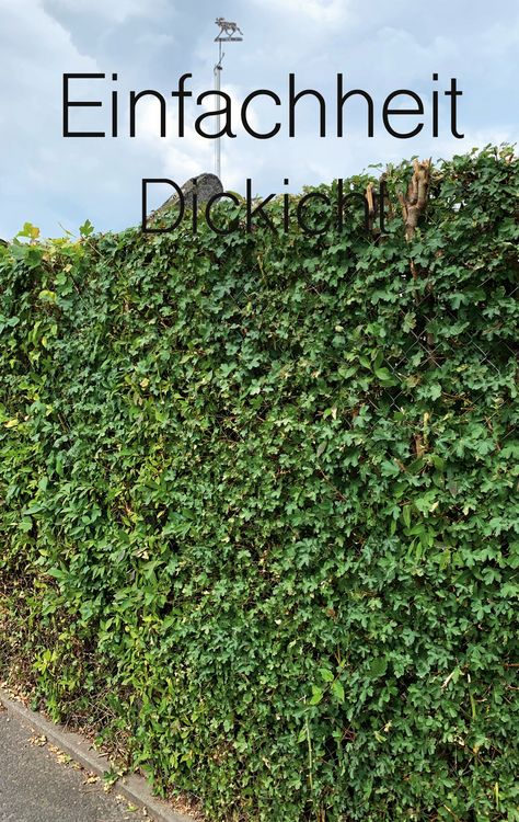 Produktbild: Einfachheit