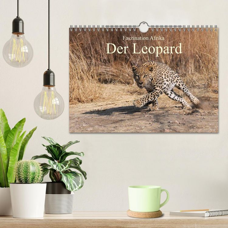 Produktbild: Faszination Afrika: Der Leopard (Wandkalender 2026 DIN A4 quer), CALVENDO Monatskalender