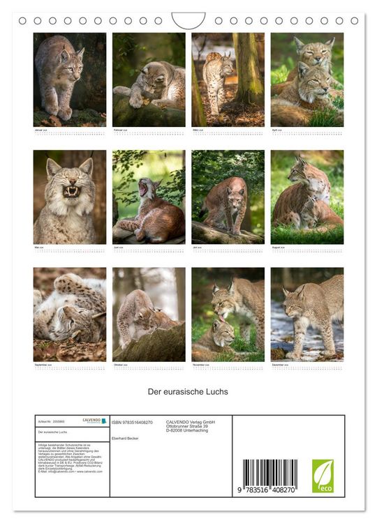 Produktbild: Der eurasische Luchs (Wandkalender 2026 DIN A4 hoch), CALVENDO Monatskalender