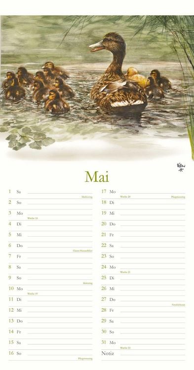 Produktbild: Rien Poortvliet Natur-Notiz-Kalender 2027