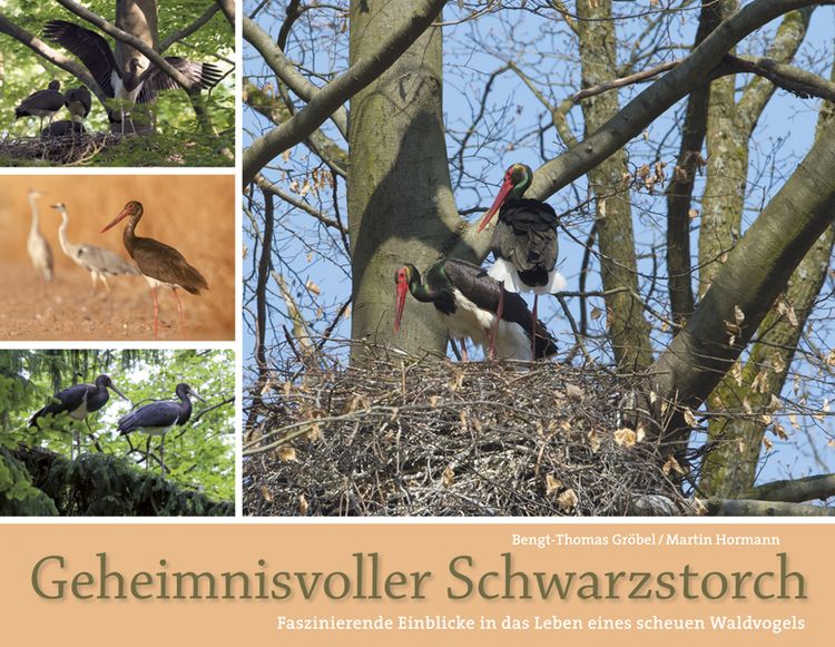 Produktbild: Geheimnisvoller Schwarzstorch