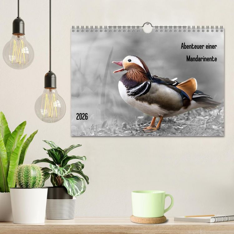 Produktbild: Abenteuer einer Mandarinente (Wandkalender 2026 DIN A4 quer), CALVENDO Monatskalender