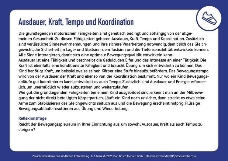 Produktbild: Meilensteine der kindlichen Entwicklung. Individualit&auml;t und Gesetzm&auml;&szlig;igkeiten in Entwicklungsphasen bei 3- bis 6-J&auml;hrigen