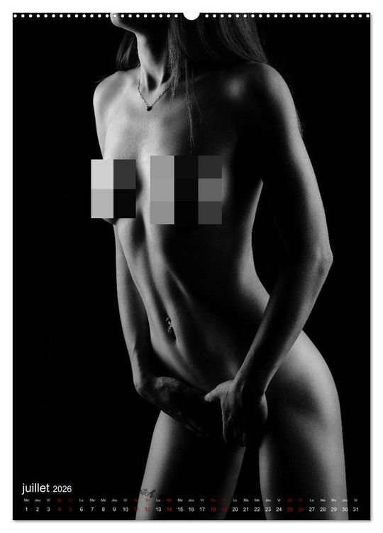 Produktbild: Apparat lumineux (Calendrier mural 2026 DIN A2 horizontal) calendrier de bureau