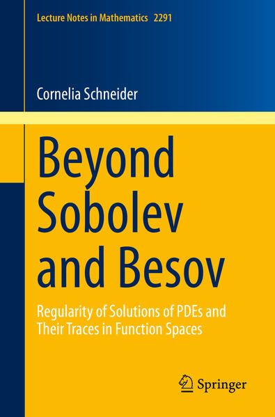 Produktbild: Beyond Sobolev and Besov