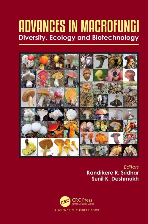 Produktbild: Advances in Macrofungi