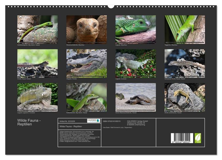 Produktbild: Wilde Fauna - Reptilien (hochwertiger Premium Wandkalender 2026 DIN A2 quer), Kunstdruck in Hochglanz