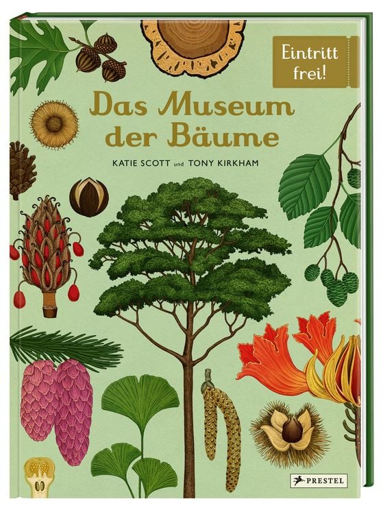 Produktbild: Das Museum der Bäume