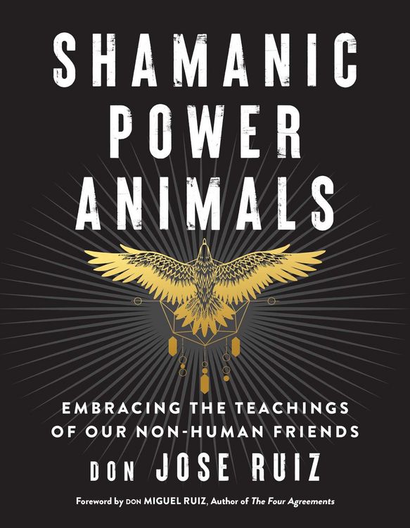 Produktbild: Shamanic Power Animals