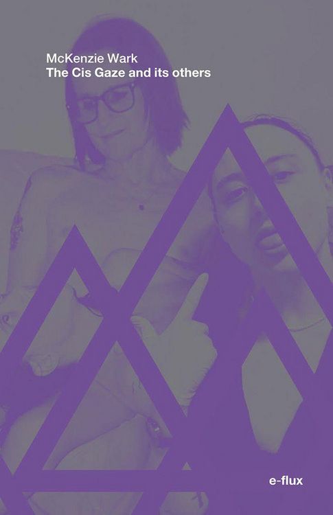 Produktbild: The Cis Gaze and Its Others