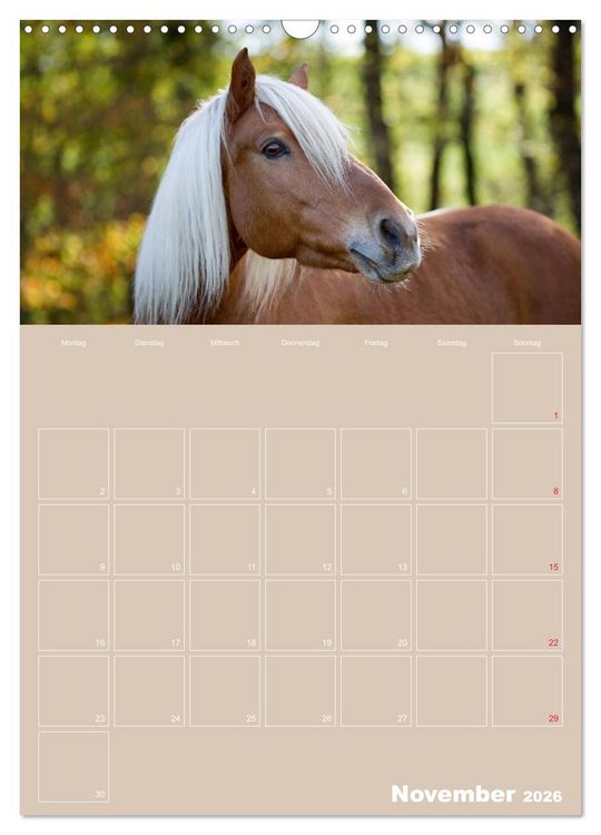 Produktbild: Pferde / Planer (Wandkalender 2026 DIN A3 hoch), CALVENDO Monatskalender