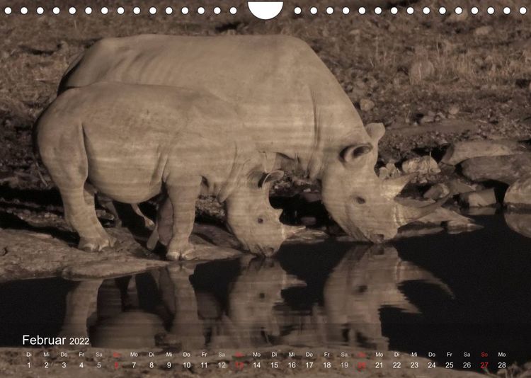 Produktbild: S&uuml;dliches Afrika (Wandkalender 2022 DIN A4 quer)