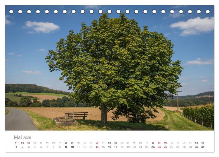 Produktbild: Wundersch&ouml;ne B&auml;ume im Sauerland (Tischkalender 2026 DIN A5 quer), CALVENDO Monatskalender
