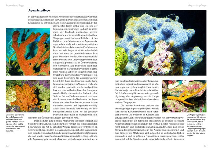 Produktbild: Schw&auml;mme im Meerwasseraquarium