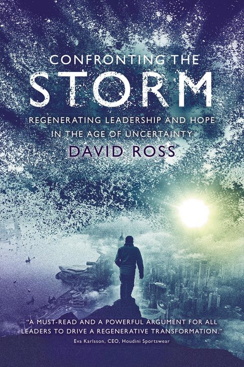 Produktbild: Confronting the Storm