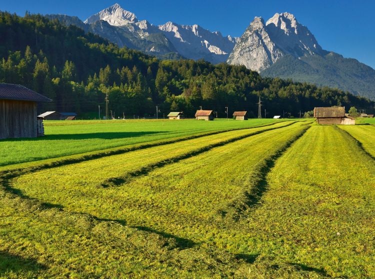Produktbild: CALVENDO Puzzle Wiesen mit Zugspitzblick 2000 Teile Lege-Gr&ouml;&szlig;e 90 x 67 cm Foto-Puzzle Bild von Dieter-M. Wilczek