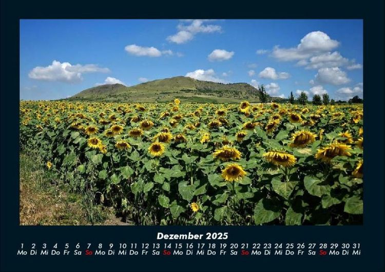 Produktbild: Blumenkalender 2025 Fotokalender DIN A4