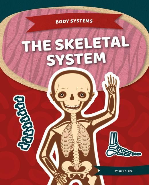 Produktbild: Skeletal System