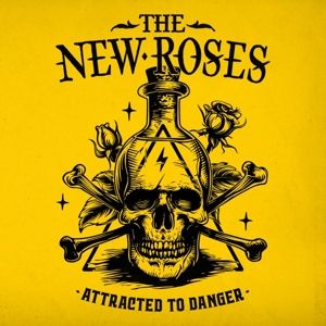 Produktbild: Attracted To Danger