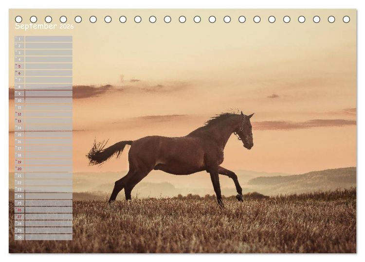 Produktbild: Pferde - Spiegel deiner Seele (Tischkalender 2026 DIN A5 quer), CALVENDO Monatskalender