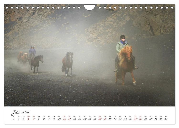Produktbild: Islandpferde take it Isi (Wandkalender 2026 DIN A4 quer), CALVENDO Monatskalender