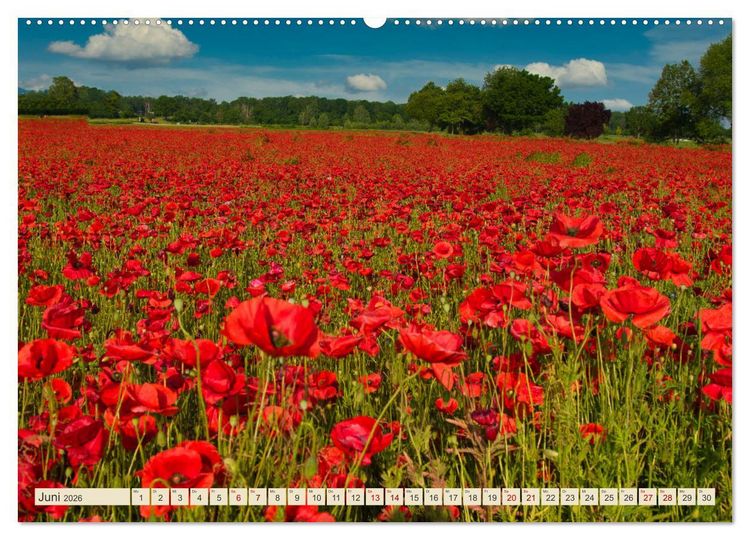 Produktbild: Landkreis Emmendingen - Streifz&uuml;ge durch den S&uuml;dwesten (Wandkalender 2026 DIN A2 quer), CALVENDO Monatskalender