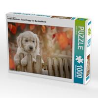 Produktbild: CALVENDO Puzzle Golden Retriever - Sweet Puppy von Martina Wrede 1000 Teile Lege-Gr&ouml;&szlig;e 64 x 48 cm Foto-Puzzle Bild von Martina Wrede