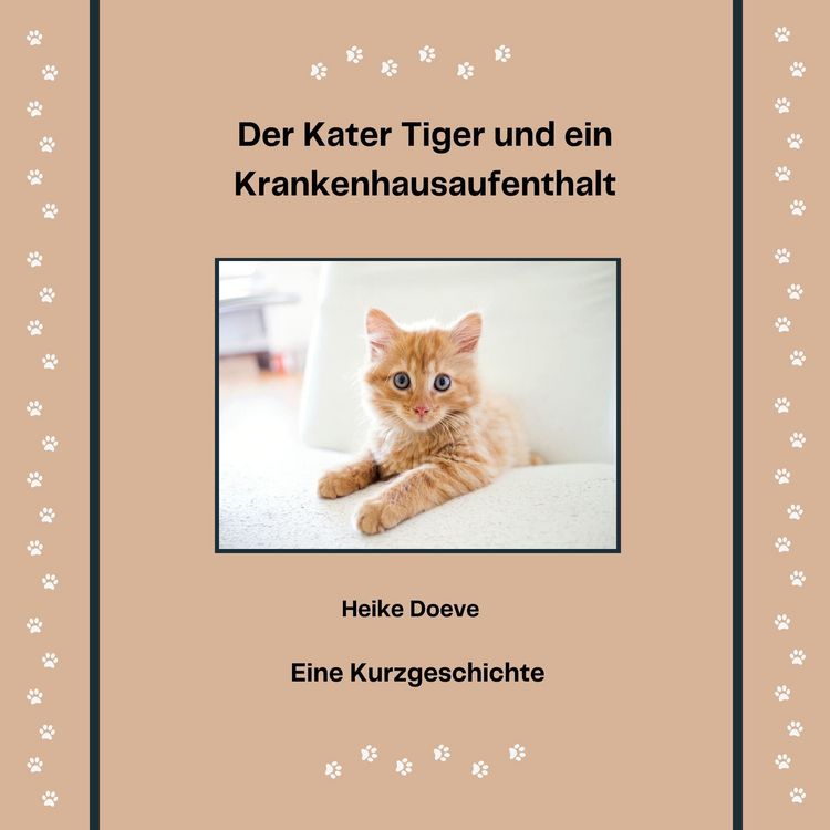 Produktbild: Der Kater Tiger und ein Krankenhausaufenthalt