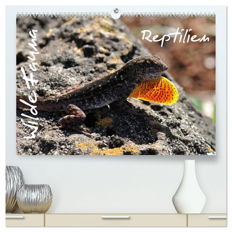 Produktbild: Wilde Fauna - Reptilien (hochwertiger Premium Wandkalender 2026 DIN A2 quer), Kunstdruck in Hochglanz