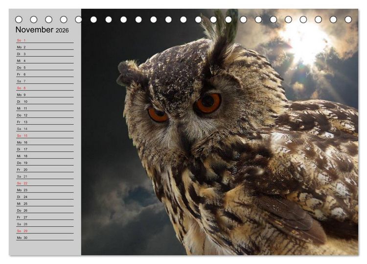 Produktbild: Eulen. W&auml;chter der Nacht (Tischkalender 2026 DIN A5 quer), CALVENDO Monatskalender