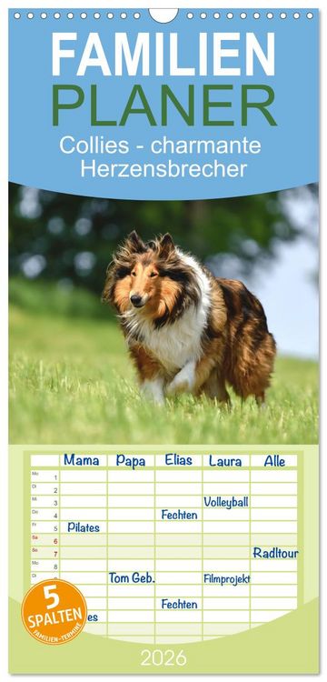 Produktbild: Familienplaner 2026 - Collies - charmante Herzensbrecher mit 5 Spalten (Wandkalender, 21 x 45 cm) CALVENDO